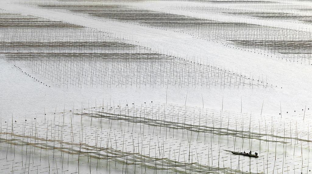 美翻了!法国的摄影师Thierry Bornier镜头下的中国美 | 艺术新生活