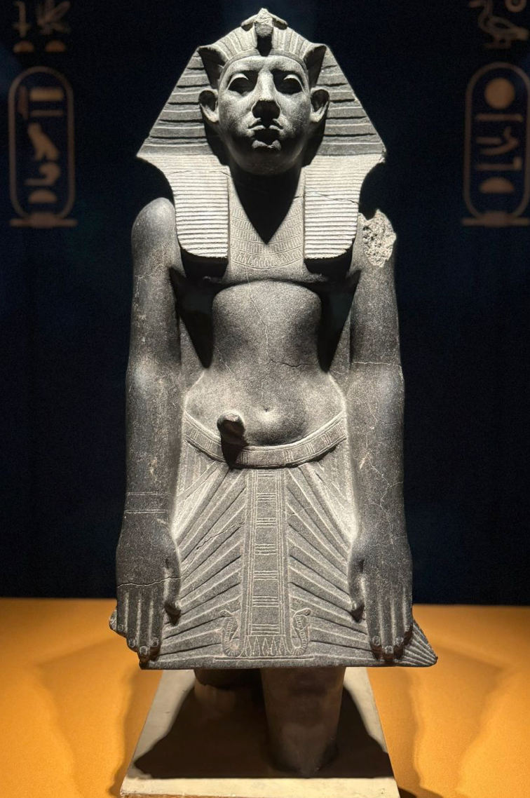 七月下旬新展推荐，古埃及、柯南、插画、动画、珠宝、当代艺术一览